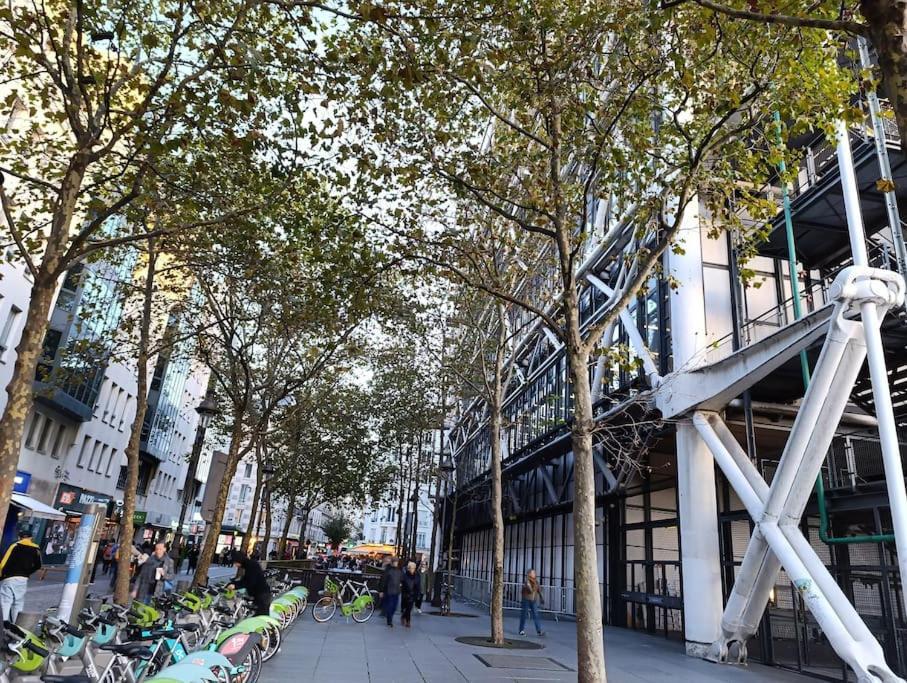 Flat 31m2 Near Pompidou Center, Marais, Les Halles, Mobility Lease Only *